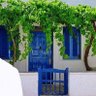 Profilbild von زهرة الربيع