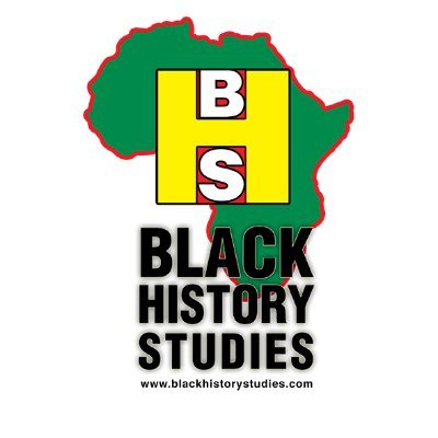 BlackHistoryStudies's profile picture