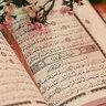 المعتصم بالله's profile picture
