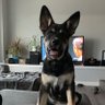 Toast_MB 的头像