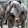 ~D~ profil fotoğrafı