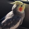 KAE profil fotoğrafı