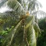 Фото профиля Stephen Dedalus
