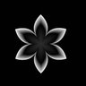 Kommando Spezial Kräfte (KSK)'s profile picture