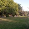 جنوب آسيوي بأسماء عربية على تويتر. profil fotoğrafı