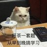 啦啦啦 的头像
