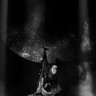 Фото профиля Witty Quotes