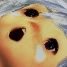 ForestXXV's profile picture