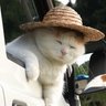 Daangerouz's profile picture