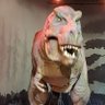 Profilbild von Tyrant-Lizard King