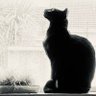 Фото профиля Alynnfarrelly