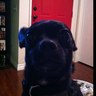 raddude profil fotoğrafı