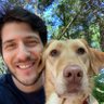 Torey Franks profil fotoğrafı