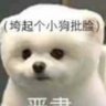 qwq 的头像