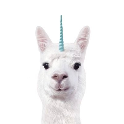 𝗣𝗶 ¹⁰¹'s profile picture