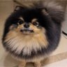 ゆんのり's profile picture