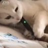 kenny 🌸 profil fotoğrafı