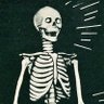 Profilbild von Baggsy Bones