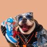 Фото профиля Swaggy_