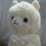 える's profile picture