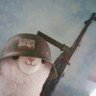 Profilbild von Lee