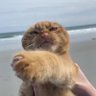 ReUt profil fotoğrafı