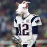 TB12 profil fotoğrafı