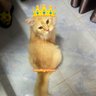 axu21 profil fotoğrafı