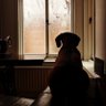 Anna's profile picture