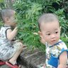 Profilbild von Trần Hưng