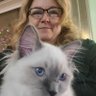 Stacy Duensing's profile picture
