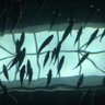 䌜é(ããª)'s profile picture