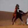 النَــآآيِــف's profile picture