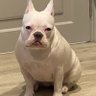 LAM SAM profil fotoğrafı