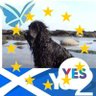 Norma Ballingall 🏴🇪🇺🇵🇸's profile picture