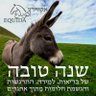 Profilbild von יוסף