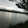 Shege bhege 的头像