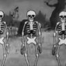 Skeleton man 的头像