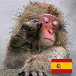 Alonso Quijano 🇪🇸 🇪🇸's profile picture