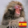 Profilbild von Alonso Quijano 🇪🇸 🇪🇸