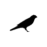 0xkml 的头像