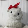 I なつこ's profile picture