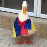 hector 5's profile picture