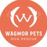 WagmorPets 的头像