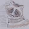 茶沢山's profile picture