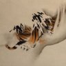 🐅虎🐅🐯🐯🐯🐯🐯 profil fotoğrafı