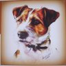 Erich Kronschnabel's profile picture