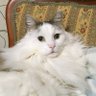 Фото профиля Uri
