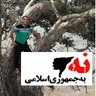مهرداد بختیار's profile picture