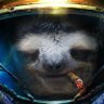 Фото профиля Sloth Commander